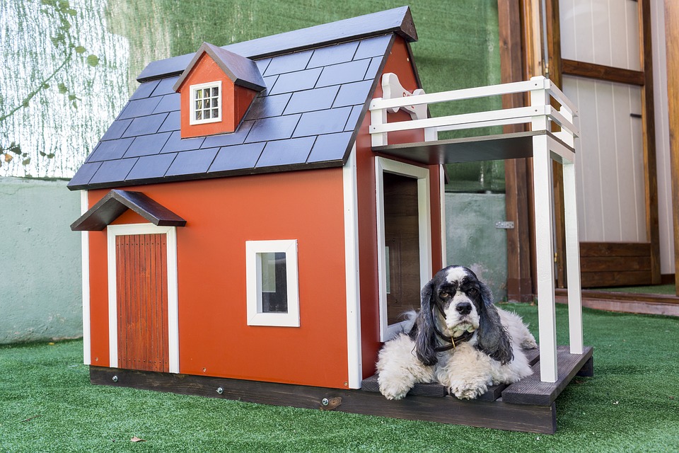 Choosing the Best Boarding Kennel for Your Dog